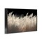 Stupell Industries White Feathers Windblown Grasses Framed Giclee, design by Decent Exposures